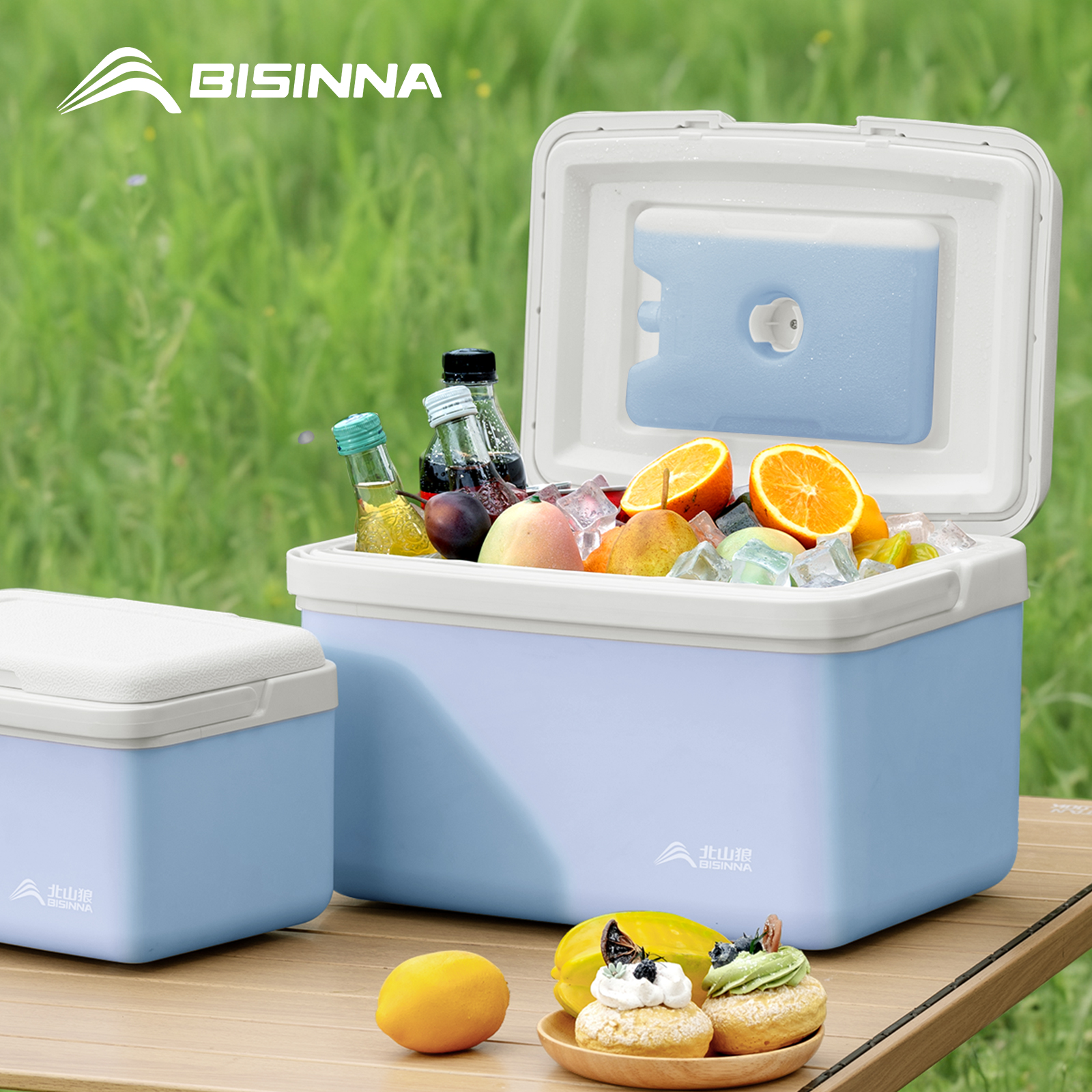 Outdoor Camping Fridge - BISINNA Camping Ice Box 6L/9L/15L Portable
