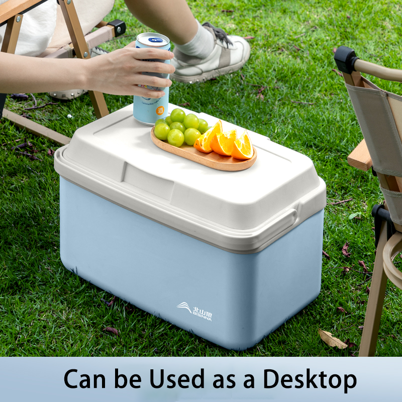 BISINNA Camping Ice Box 6L/9L/ - Outdoor Camping Fridge 评论和价格