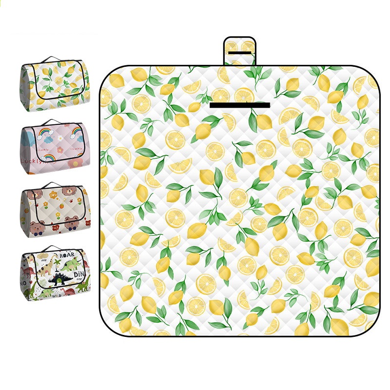 150*200CM Portable Picnic Mat  - Outdoor Camping Rug 评论和价格