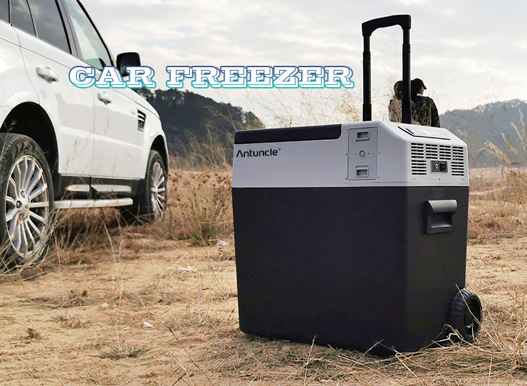 Portable 12V 24V Freezer 30L 4 - Outdoor Camping Fridge 评论和价格