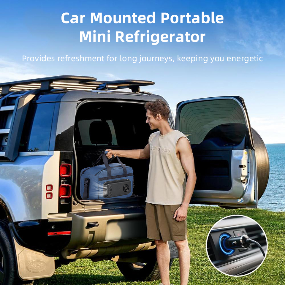 25L 3‑Layer Handheld Lunch Bag - Outdoor Camping Fridge 评论和价格