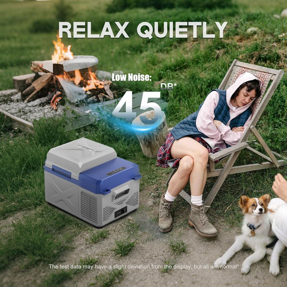 Portable 12L Electric Cooler,  - Outdoor Camping Fridge 评论和价格